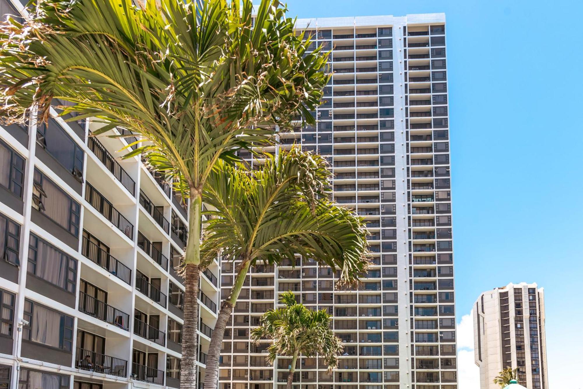 Renovated Ocean View Suite, Near Beach, Free Parking Honolulu Dış mekan fotoğraf