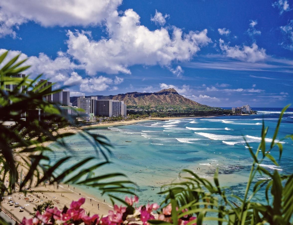 Renovated Ocean View Suite, Near Beach, Free Parking Honolulu Dış mekan fotoğraf